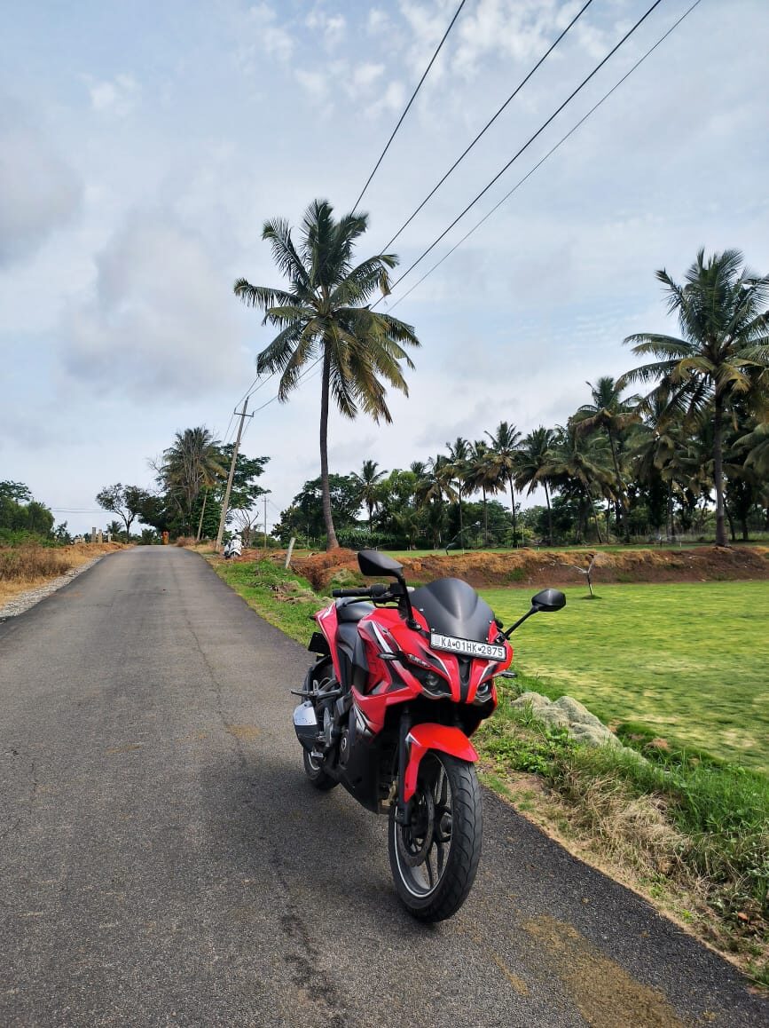 Bike on a palm road